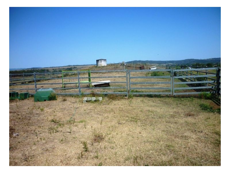 167 Webbs Road, Kyogle NSW 2474