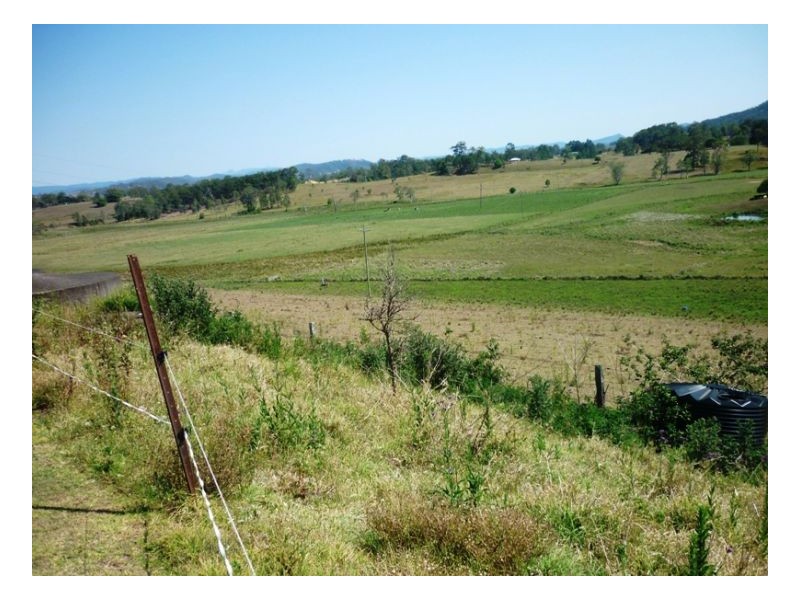 167 Webbs Road, Kyogle NSW 2474