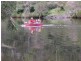 116 Cullens Creek Road, Tenterfield NSW 2372