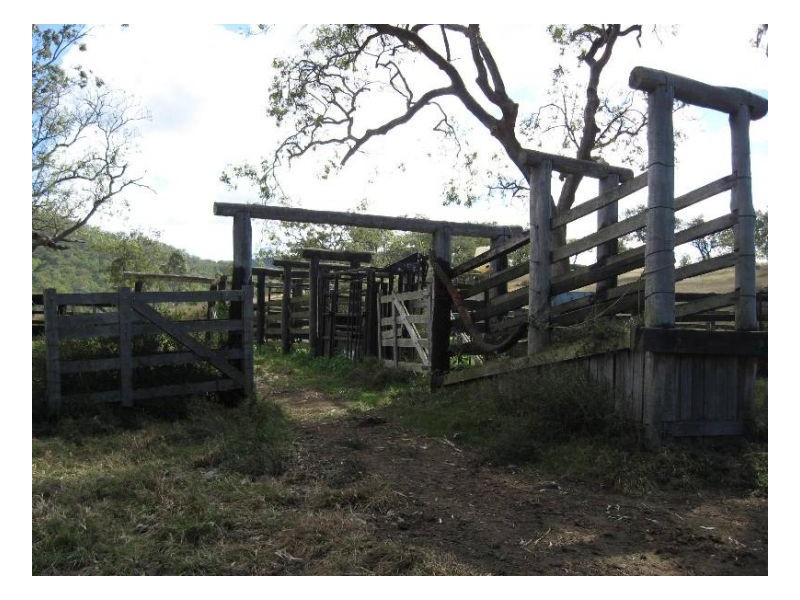 116 Cullens Creek Road, Tenterfield NSW 2372