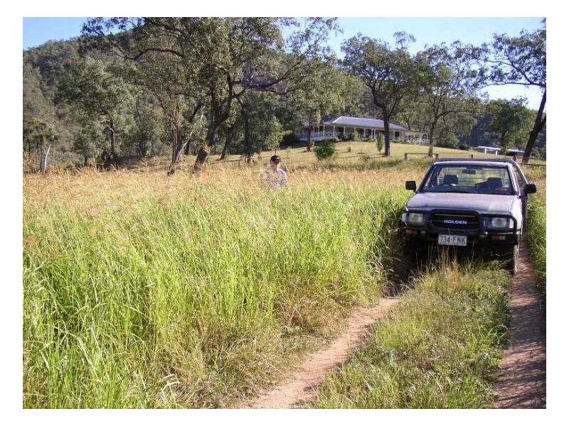 116 Cullens Creek Road, Tenterfield NSW 2372