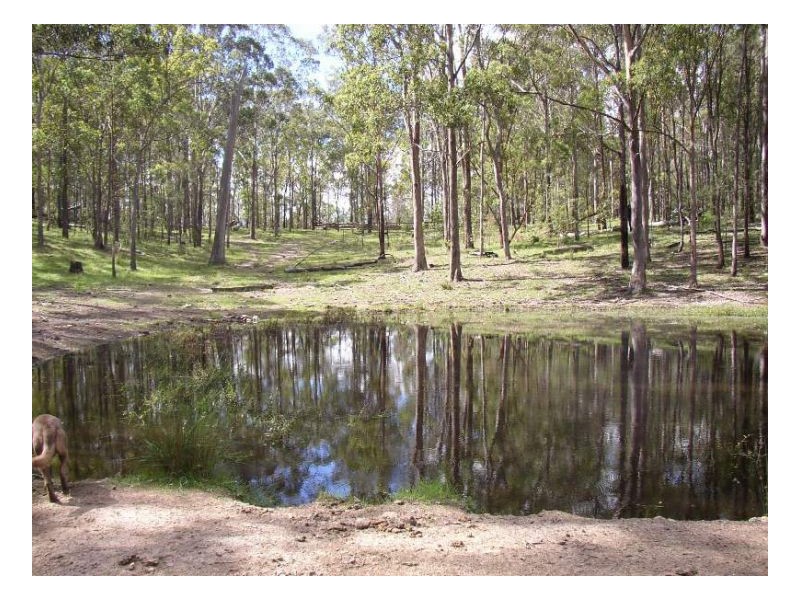 116 Cullens Creek Road, Tenterfield NSW 2372