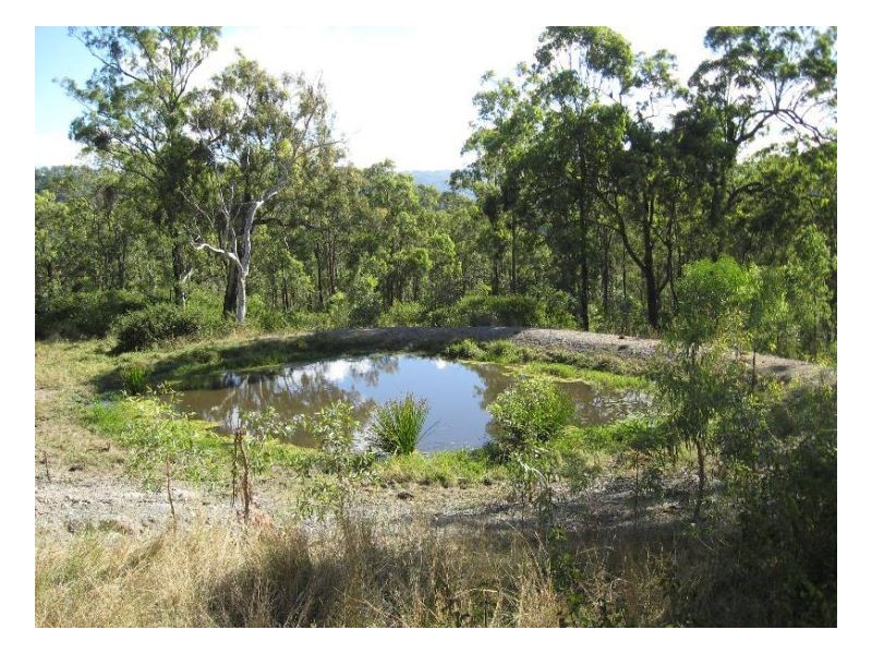 116 Cullens Creek Road, Tenterfield NSW 2372