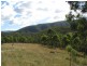 116 Cullens Creek Road, Tenterfield NSW 2372