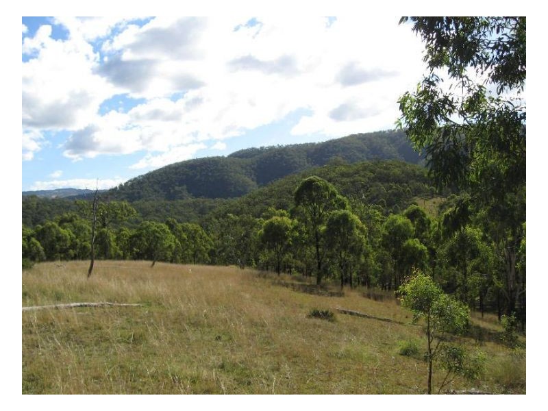 116 Cullens Creek Road, Tenterfield NSW 2372