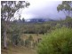116 Cullens Creek Road, Tenterfield NSW 2372