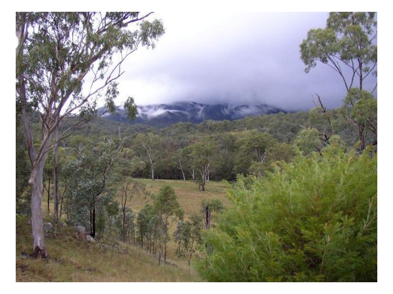 116 Cullens Creek Road, Tenterfield NSW 2372