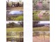 116 Cullens Creek Road, Tenterfield NSW 2372