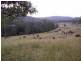 116 Cullens Creek Road, Tenterfield NSW 2372