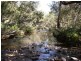 116 Cullens Creek Road, Tenterfield NSW 2372