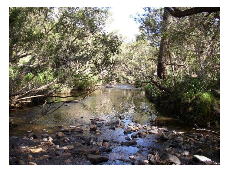 116 Cullens Creek Road, Tenterfield NSW 2372