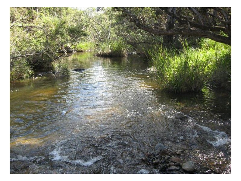 116 Cullens Creek Road, Tenterfield NSW 2372