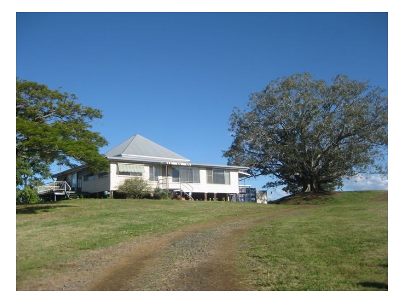 439 Edenville Road, Edenville NSW 2474
