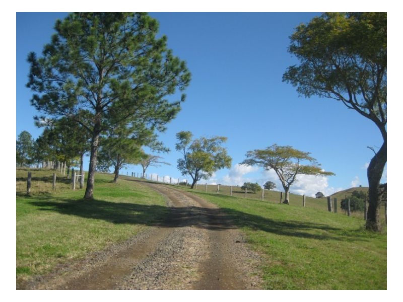 439 Edenville Road, Edenville NSW 2474