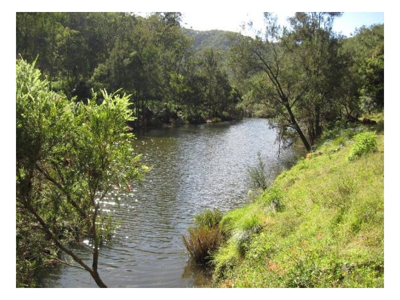 1100 Sykes Track Road, Kyogle NSW 2474