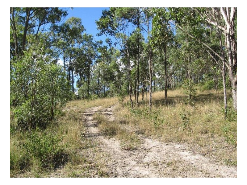 1100 Sykes Track Road, Kyogle NSW 2474