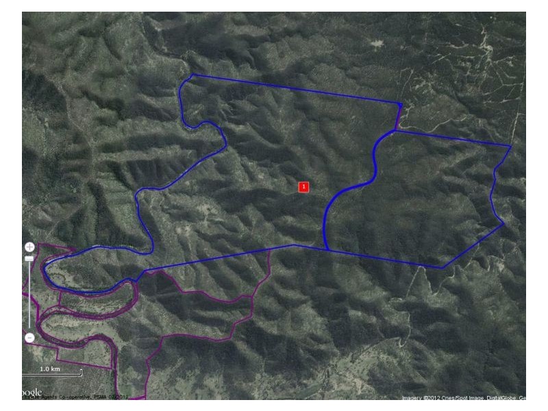 1100 Sykes Track Road, Kyogle NSW 2474