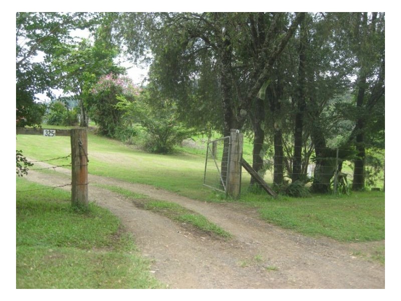 325 Horseshoe Creek Road, Horseshoe Creek NSW 2474