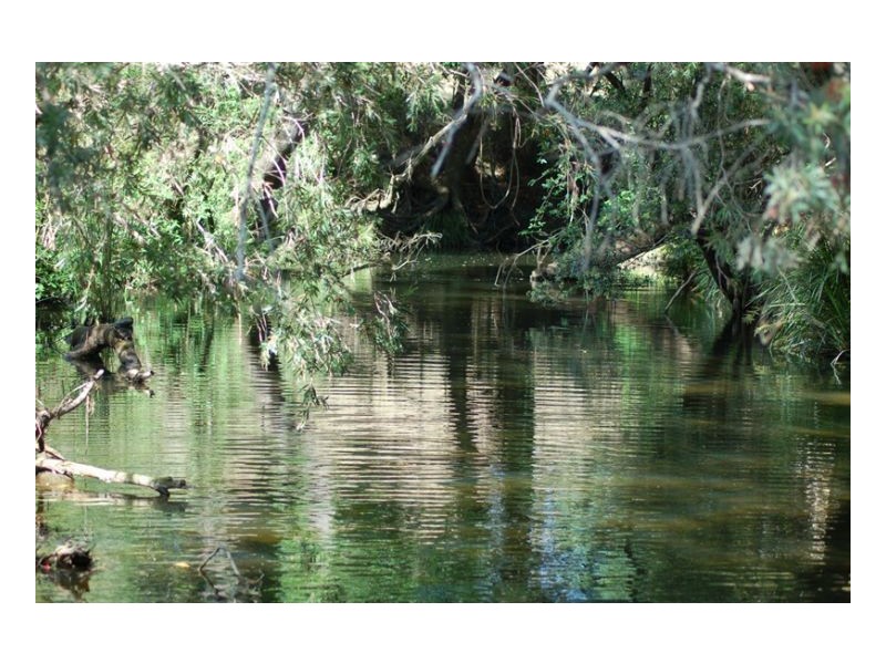 1391 Afterlee Road, Kyogle NSW 2474