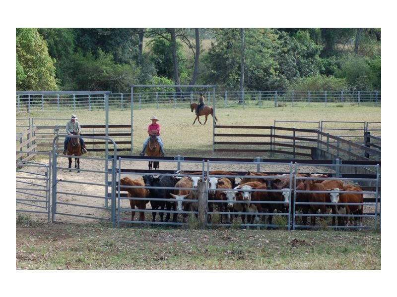 1391 Afterlee Road, Kyogle NSW 2474