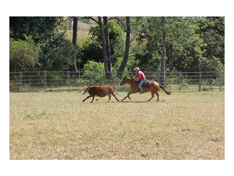 1391 Afterlee Road, Kyogle NSW 2474