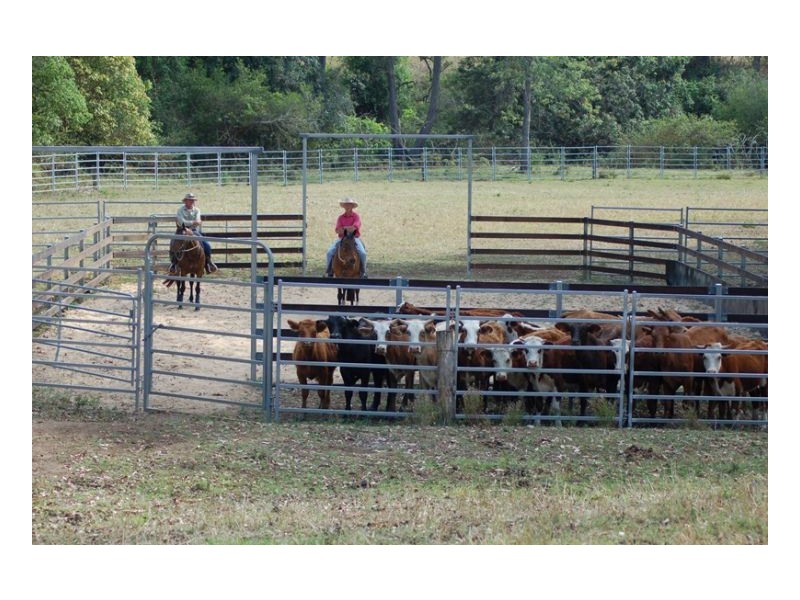 1391 Afterlee Road, Kyogle NSW 2474