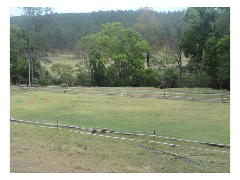1391 Afterlee Road, Kyogle NSW 2474