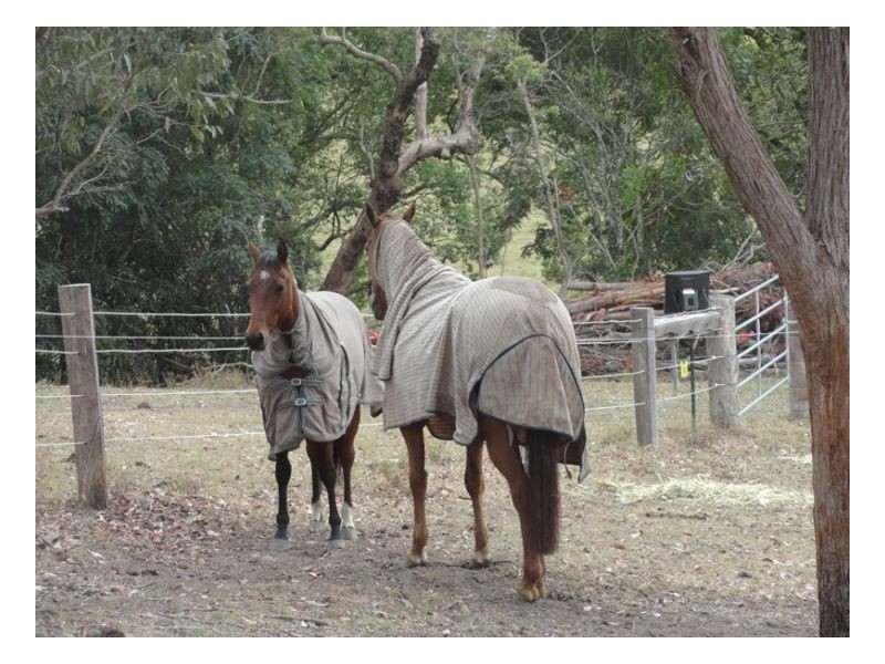 1391 Afterlee Road, Kyogle NSW 2474