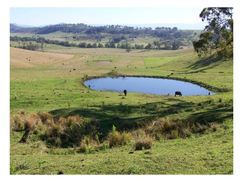 200 Mockharra Lane, Kyogle NSW 2474