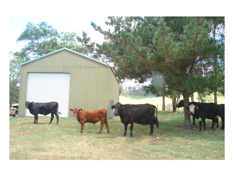 200 Mockharra Lane, Kyogle NSW 2474