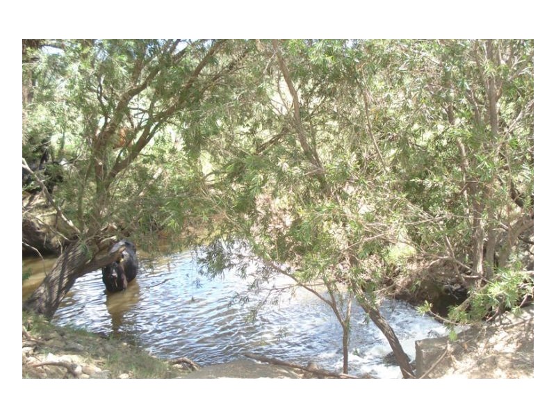 200 Mockharra Lane, Kyogle NSW 2474