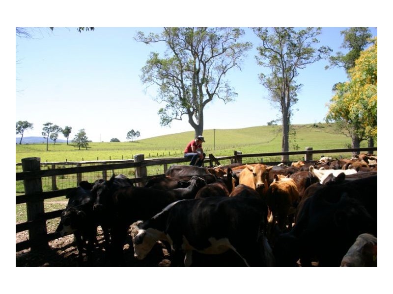 200 Mockharra Lane, Kyogle NSW 2474