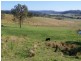 200 Mockharra Lane, Kyogle NSW 2474