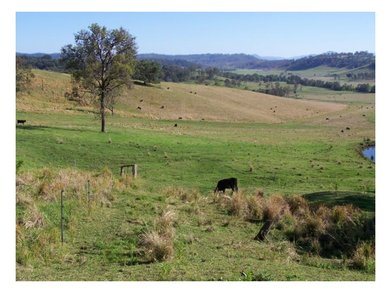 200 Mockharra Lane, Kyogle NSW 2474