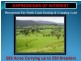 3042 Hillyard Back Creek Roads, Kyogle NSW 2474