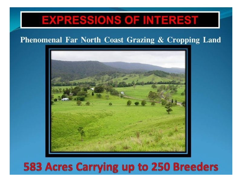 3042 Hillyard Back Creek Roads, Kyogle NSW 2474