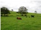 3042 Hillyard Back Creek Roads, Kyogle NSW 2474