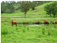3042 Hillyard Back Creek Roads, Kyogle NSW 2474