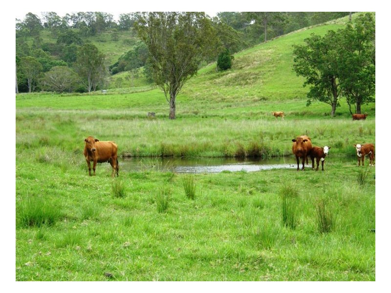 3042 Hillyard Back Creek Roads, Kyogle NSW 2474