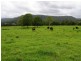 3042 Hillyard Back Creek Roads, Kyogle NSW 2474