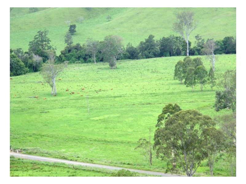 3042 Hillyard Back Creek Roads, Kyogle NSW 2474