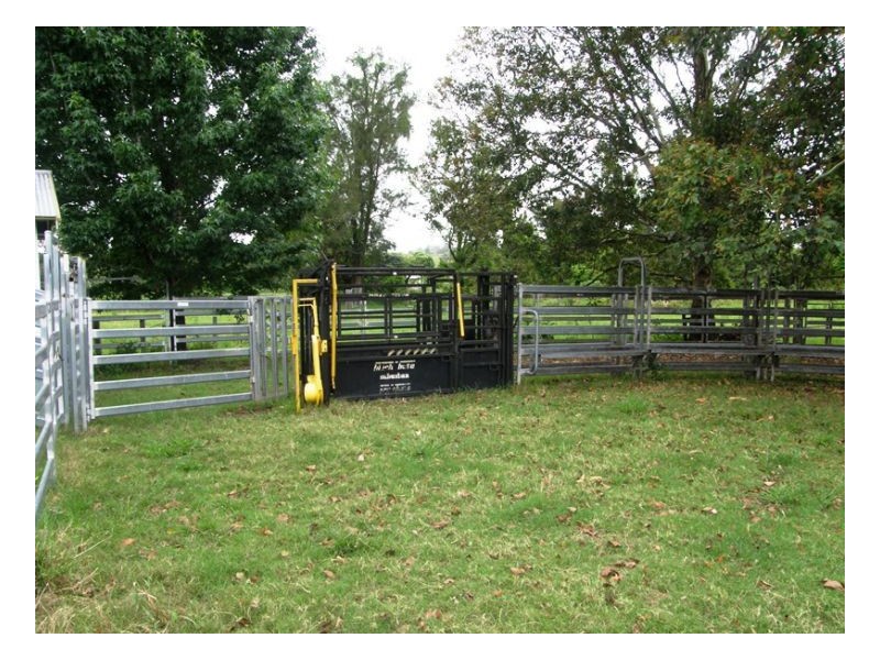 3042 Hillyard Back Creek Roads, Kyogle NSW 2474