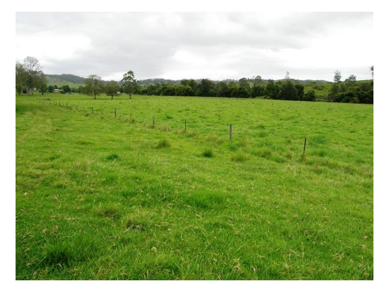 3042 Hillyard Back Creek Roads, Kyogle NSW 2474
