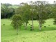 3042 Hillyard Back Creek Roads, Kyogle NSW 2474