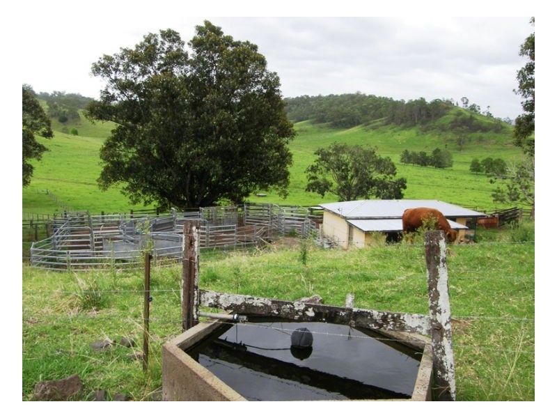 3042 Hillyard Back Creek Roads, Kyogle NSW 2474