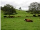 3042 Hillyard Back Creek Roads, Kyogle NSW 2474