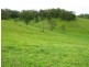 3042 Hillyard Back Creek Roads, Kyogle NSW 2474