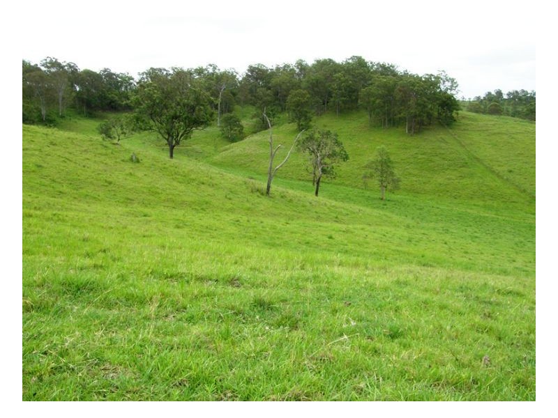 3042 Hillyard Back Creek Roads, Kyogle NSW 2474