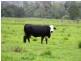 3042 Hillyard Back Creek Roads, Kyogle NSW 2474