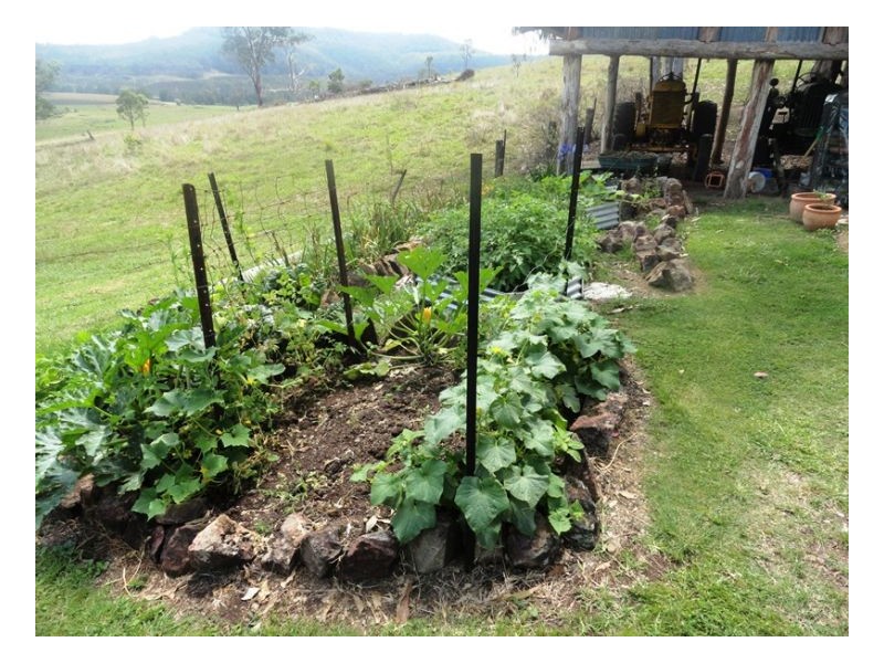 4930 Paddys Flat Road, Urbenville NSW 2475